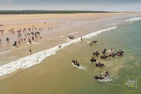 Cavalry at Holkham