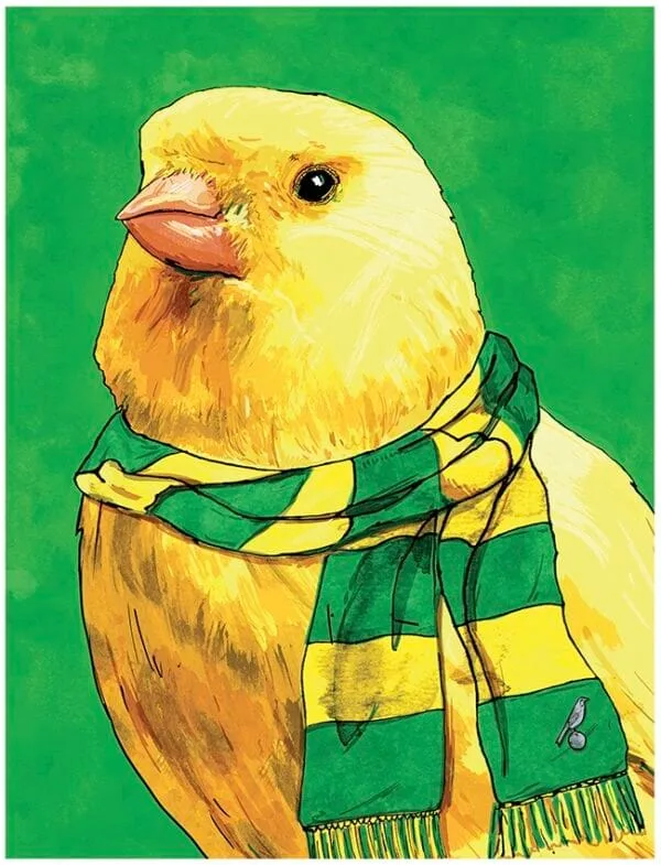 Canary & Scarf