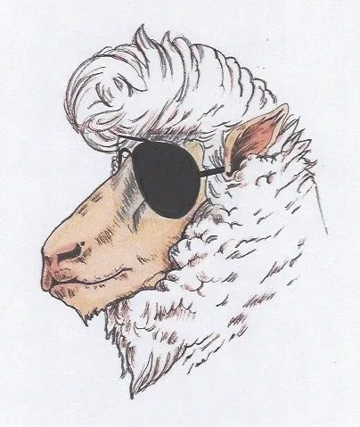 Teddy-Boy Sheep