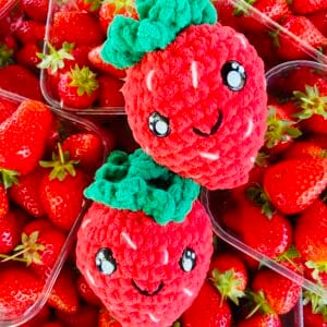 Norfolk Strawberry 🍓 Crochet